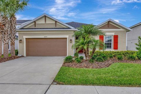 Single Family Residence in WESLEY CHAPEL FL 34095 ASTORIA CIRCLE.jpg