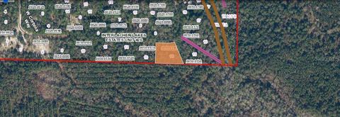 in FLORAHOME FL 121 CORBINA WAY.jpg