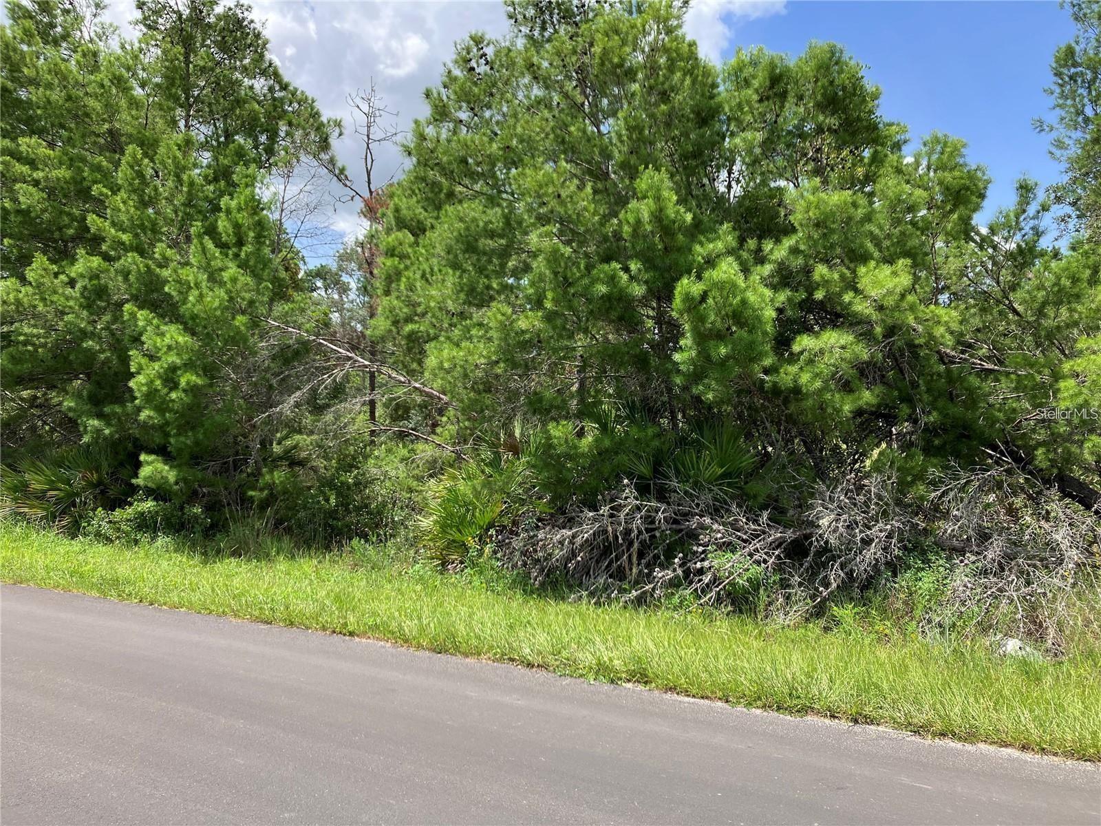Forehand Rd, Davenport, FL 33896