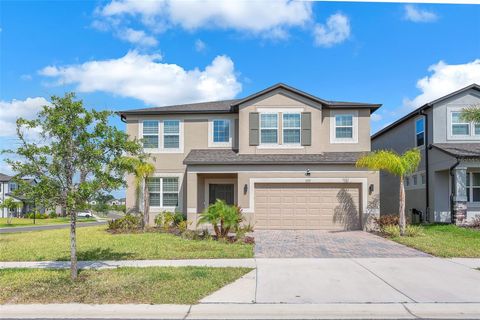 Single Family Residence in WIMAUMA FL 3113 MARINE GRASS DRIVE.jpg