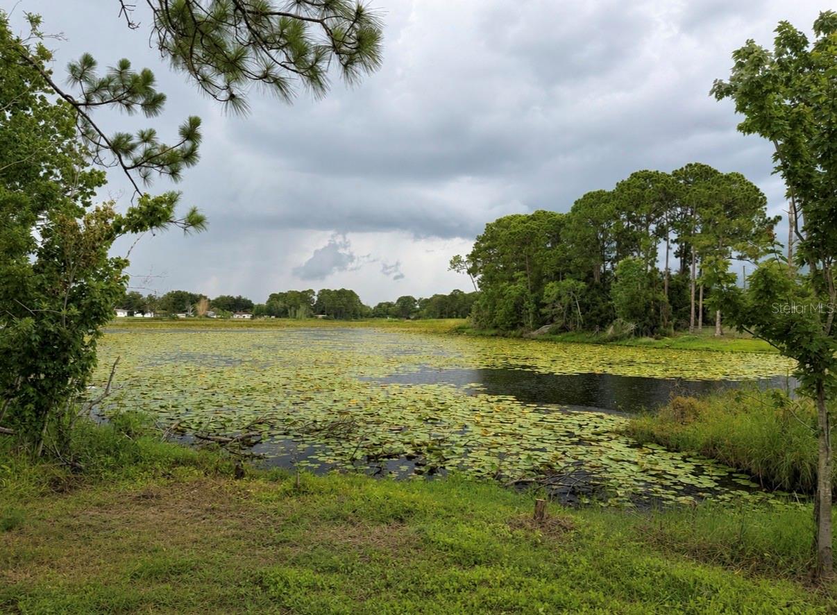 1780 Converse Ct, Deltona, FL 32738 photo