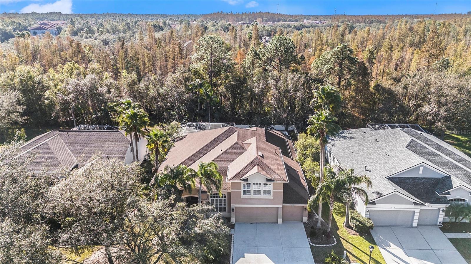 8507 Portage Ave, Tampa, FL 33647 photo
