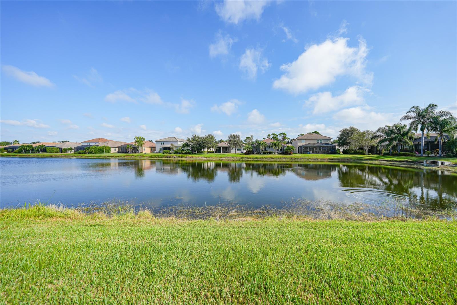 11720 Spotted Margay Ave, Venice, FL 34292 photo