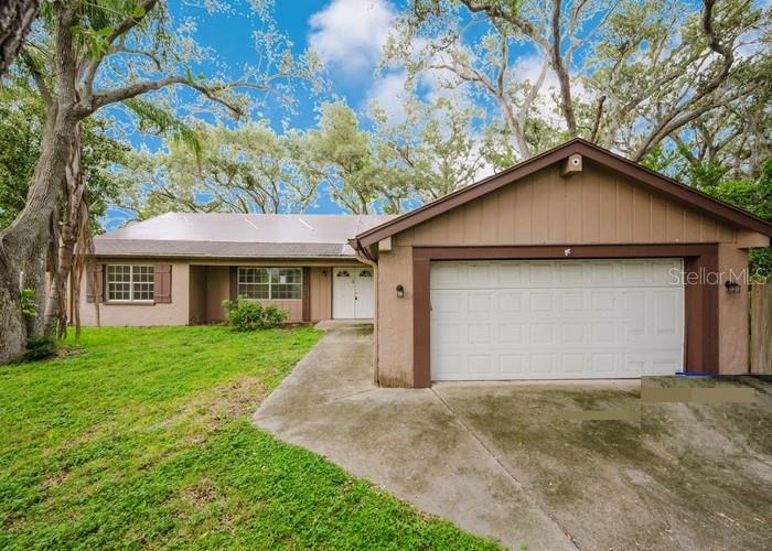 1243 Royal Oak Dr, Dunedin, FL 34698 photo