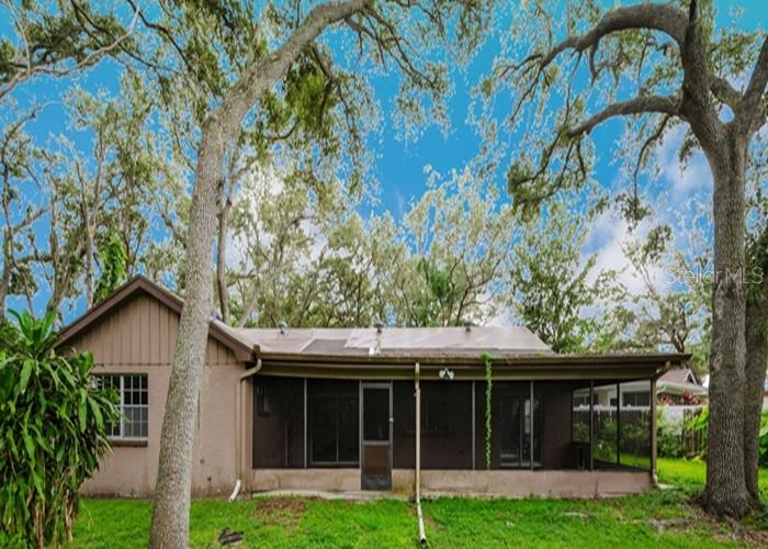 1243 Royal Oak Dr, Dunedin, FL 34698 photo