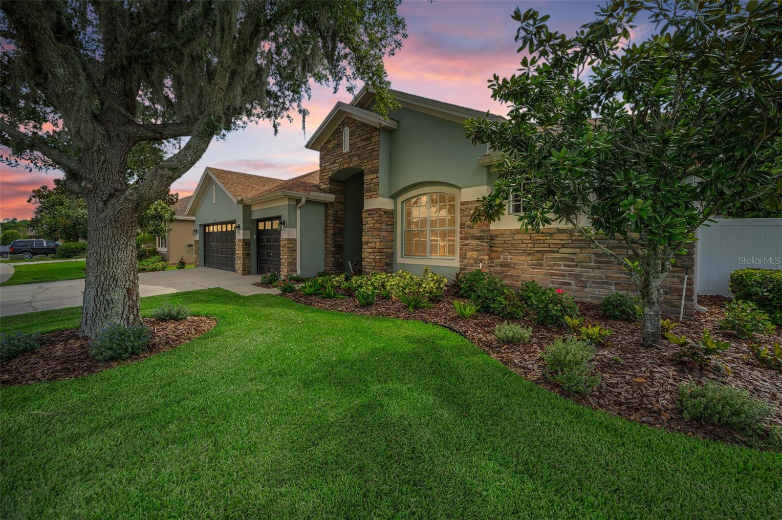 1629 Salmonberry St, Wesley Chapel, FL 33543 photo