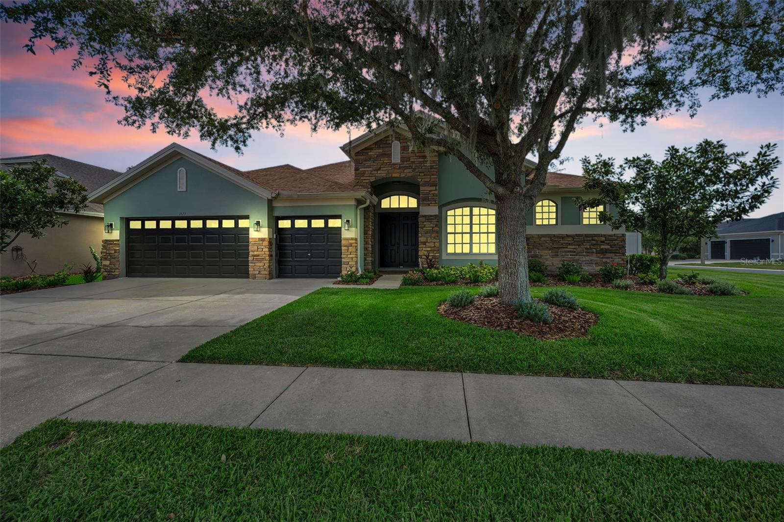 1629 Salmonberry St, Wesley Chapel, FL 33543 photo