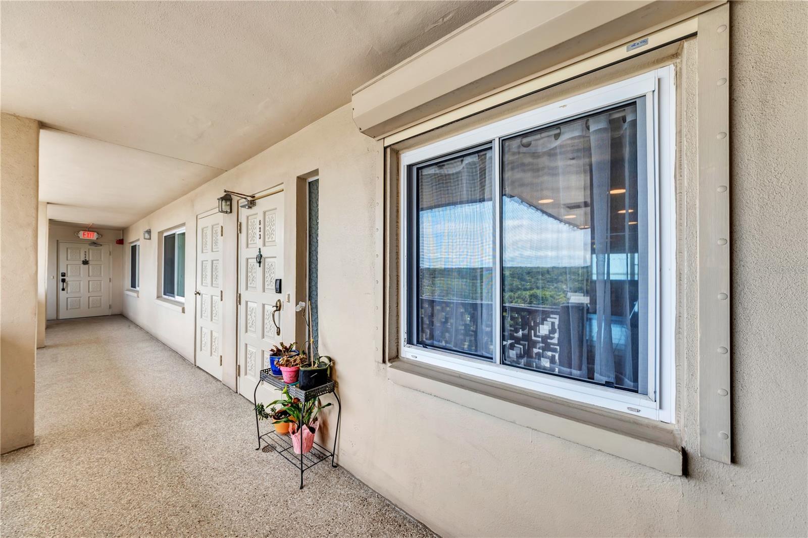 622 Edgewater Dr #823, Dunedin, FL 34698 photo