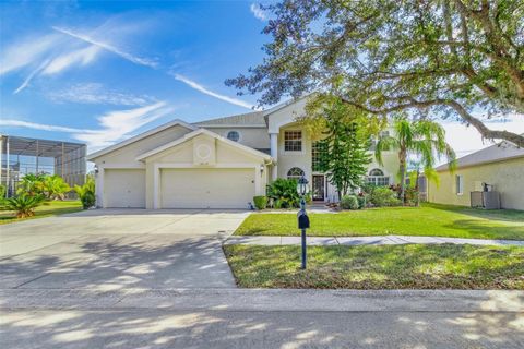 Single Family Residence in TAMPA FL 18119 DIAMOND COVE COURT.jpg
