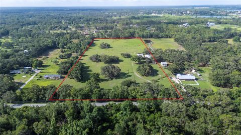  in THONOTOSASSA FL 12135 KNIGHTS GRIFFIN ROAD.jpg