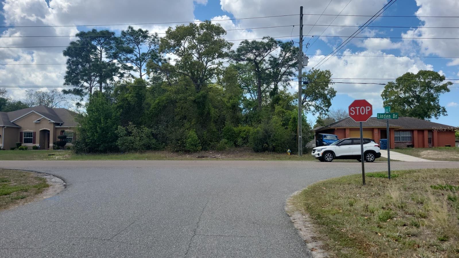 12083 Linden Dr, Spring Hill, FL 34608 photo