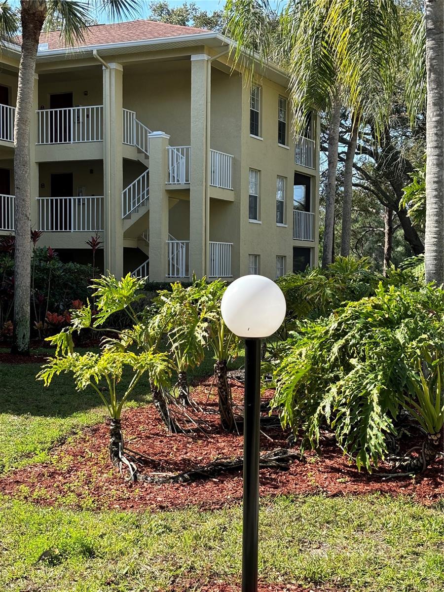 2690 Coral Landing Blvd, Palm Harbor, FL 34684