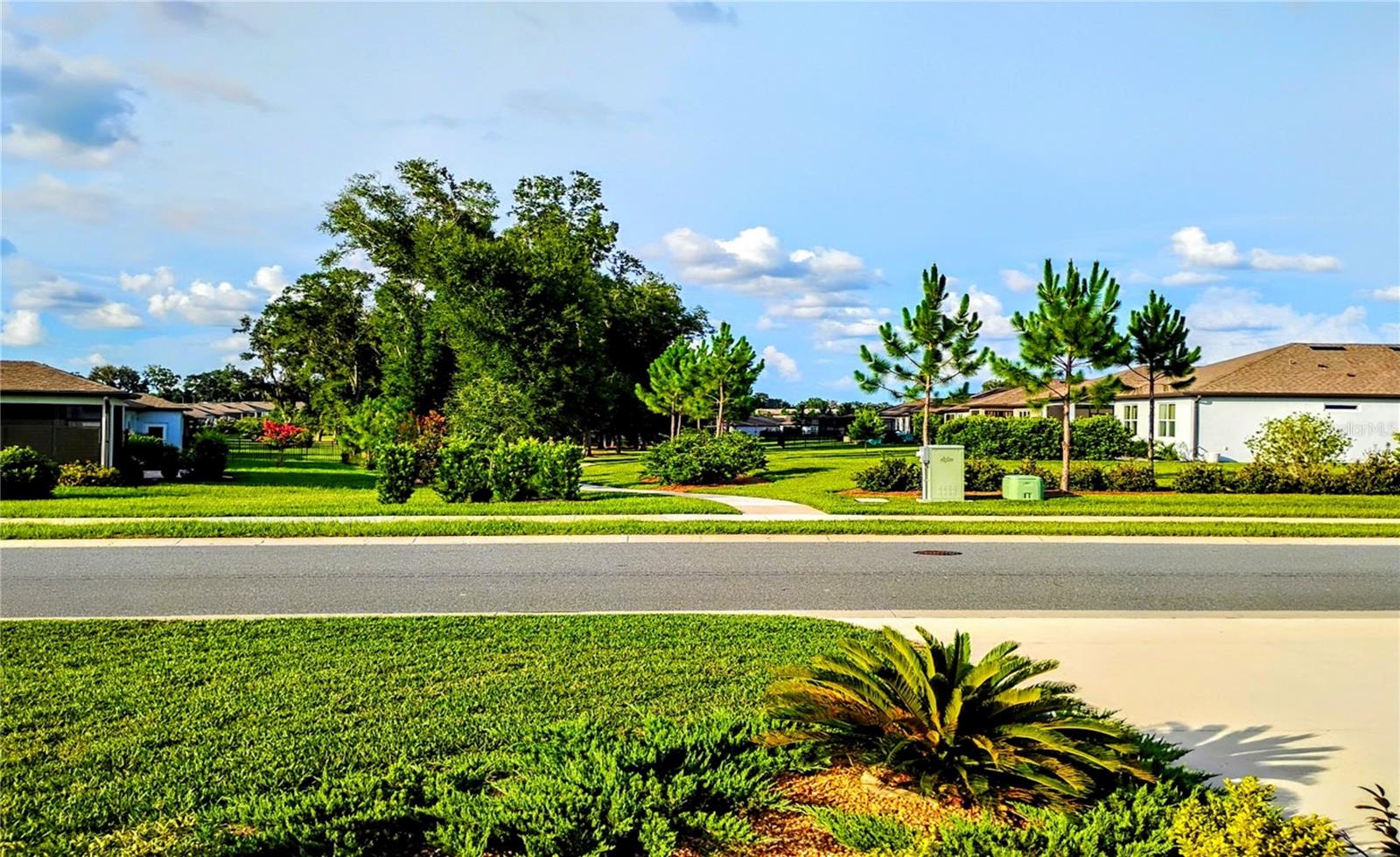 8542 SW 55 Street Rd, Ocala, FL 34481 photo