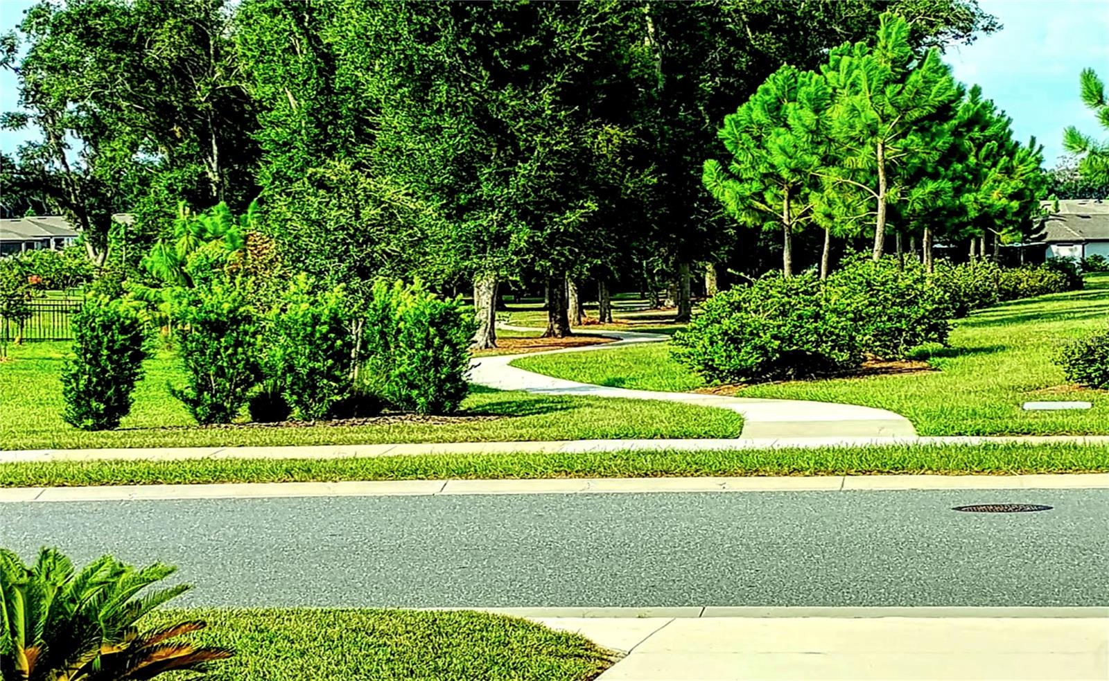 8542 SW 55 Street Rd, Ocala, FL 34481 photo