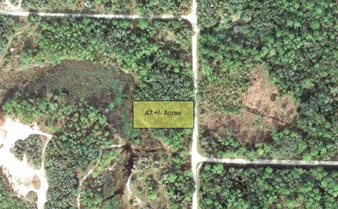  in WEBSTER FL 9111 CHIMNEY ROCK DRIVE.jpg