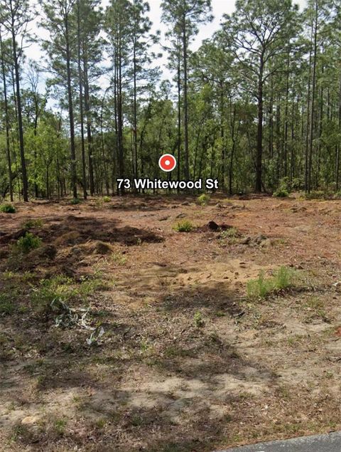  in HOMOSASSA FL 73 WHITEWOOD STREET.jpg