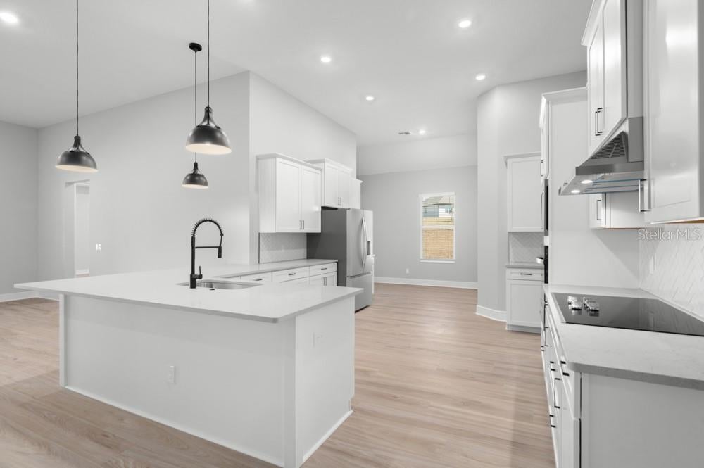 3845 Saddle Hill Trl, Fruitland Park, FL 34731 photo
