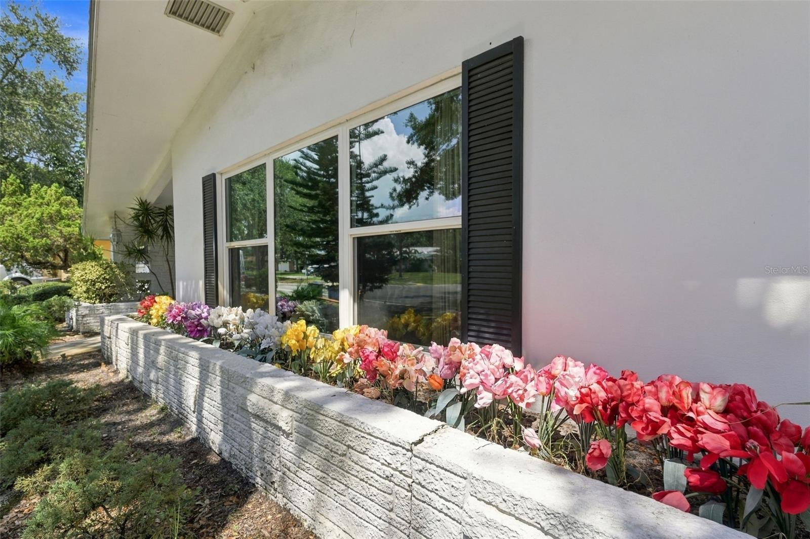 2336 Harn Blvd, Clearwater, FL 33764 photo