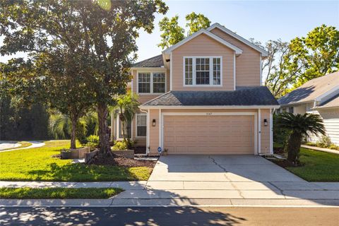 Single Family Residence in TAMPA FL 5167 STERLING MANOR DRIVE.jpg