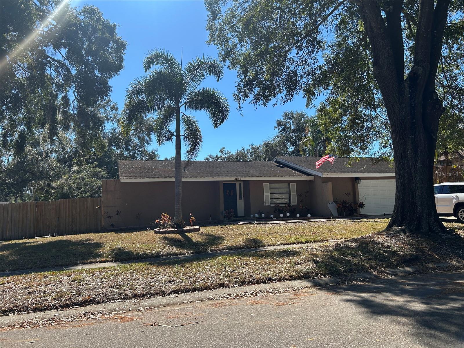 4602 Buckeye Rd, Tampa, FL 33624 photo