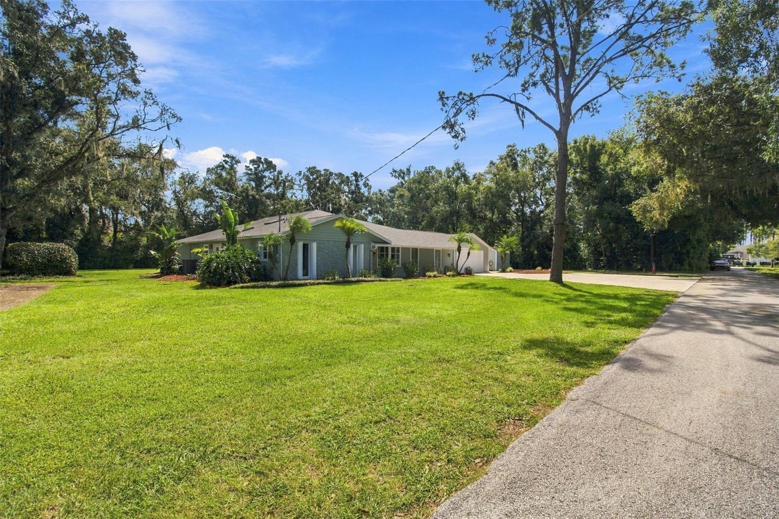 19531 Deer Lake Rd, Lutz, FL 33548 photo