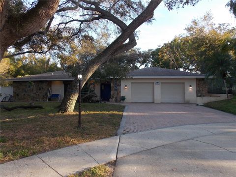 Single Family Residence in PALM HARBOR FL 2046 WINDING OAKS DRIVE.jpg