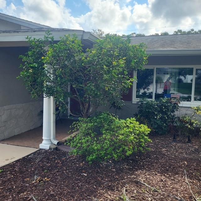 9039 Briarwood Dr, Seminole, FL 33772 photo