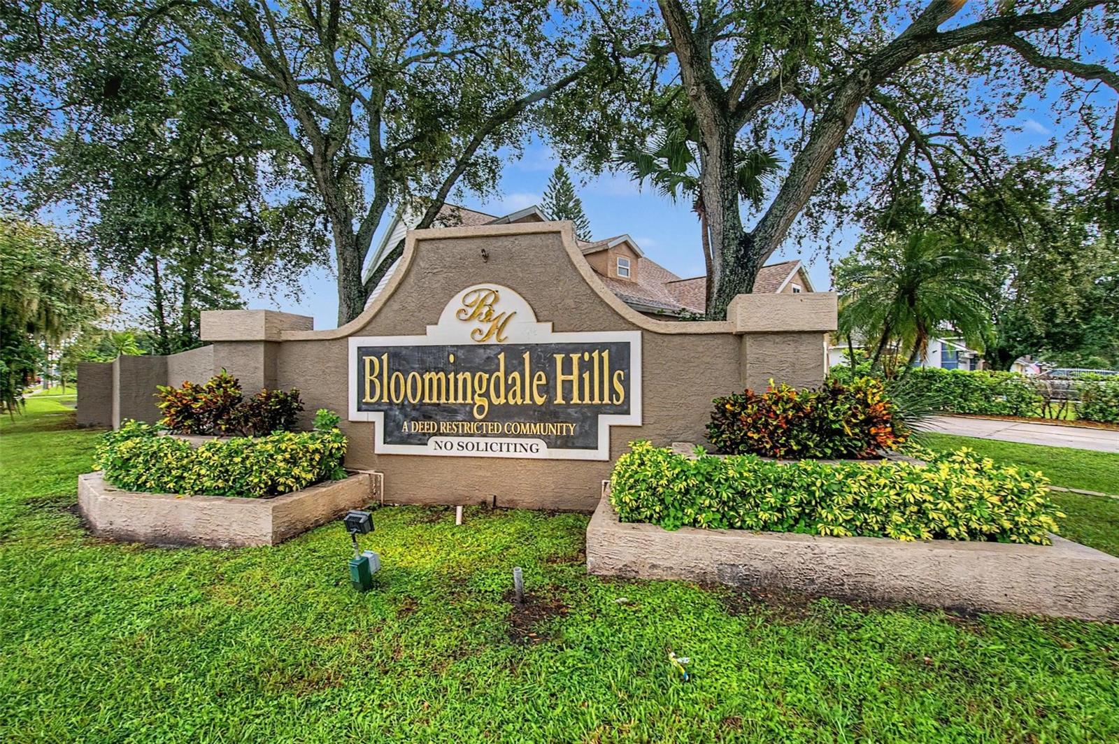 6222 Crickethollow Dr, Riverview, FL 33578 photo