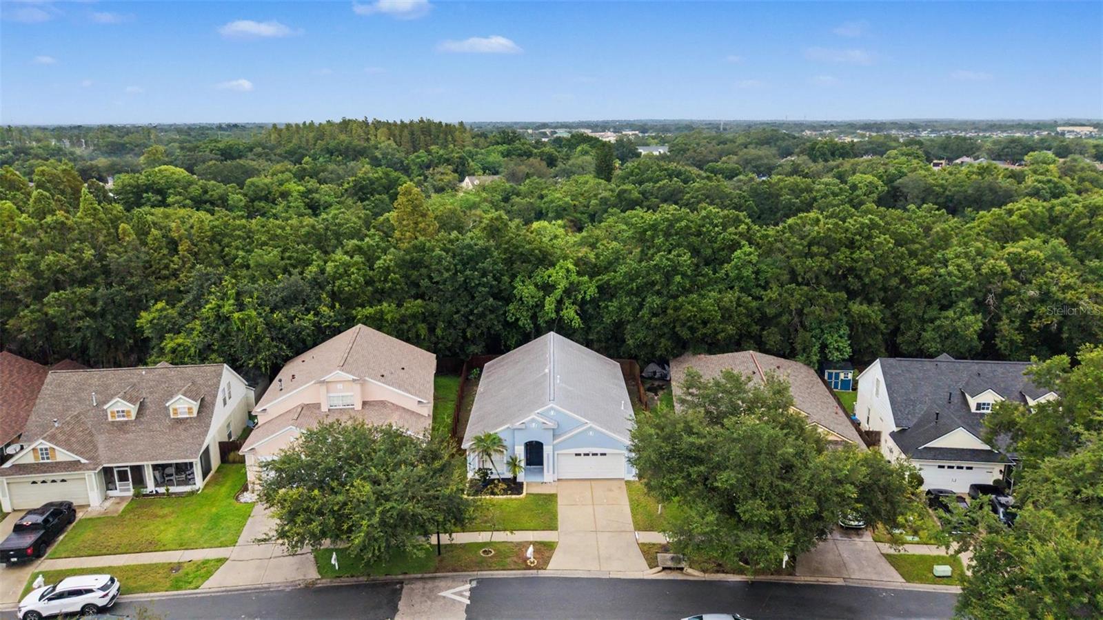 6222 Crickethollow Dr, Riverview, FL 33578 photo