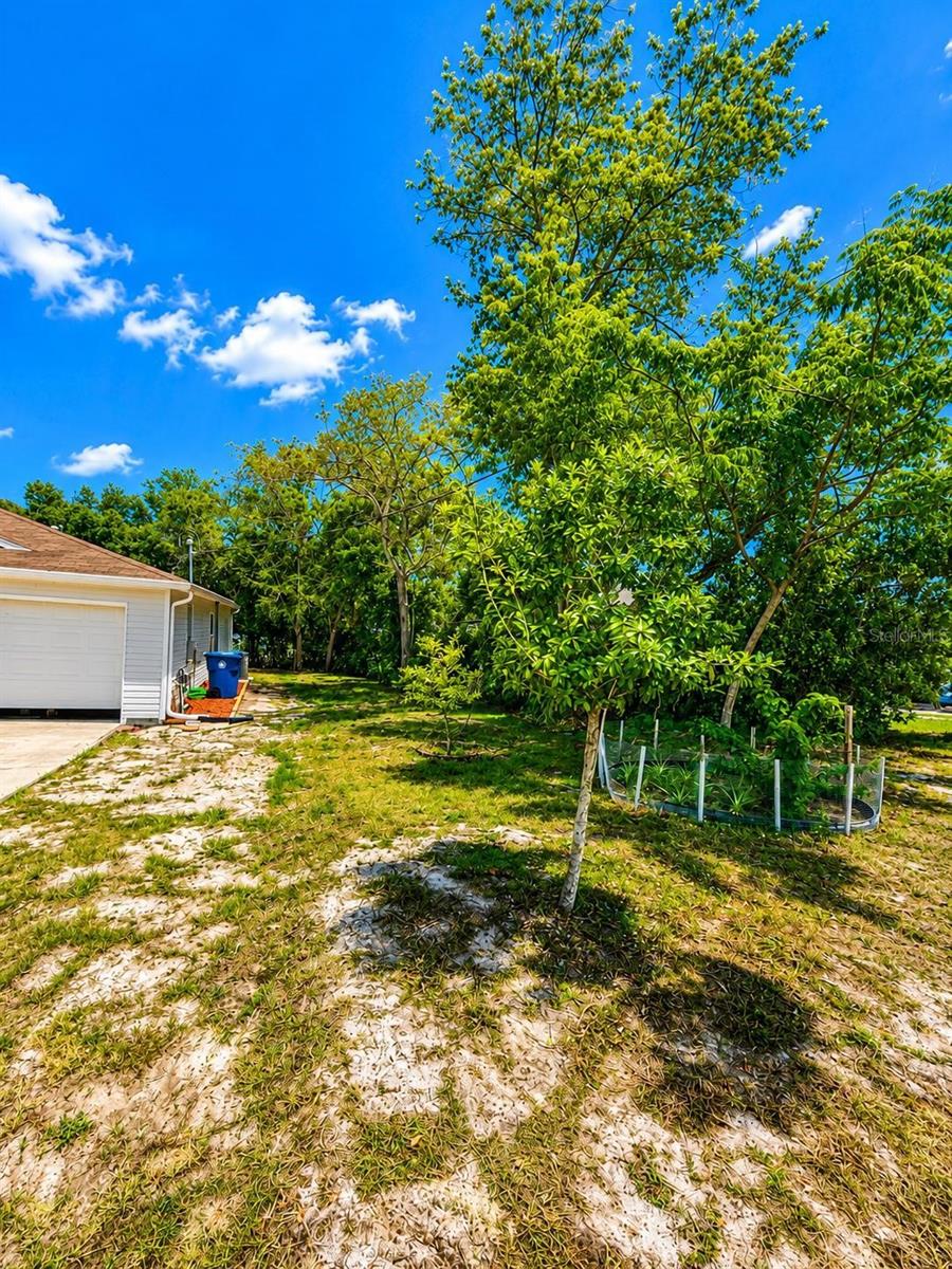 1490 Piper Rd, Spring Hill, FL 34606 photo