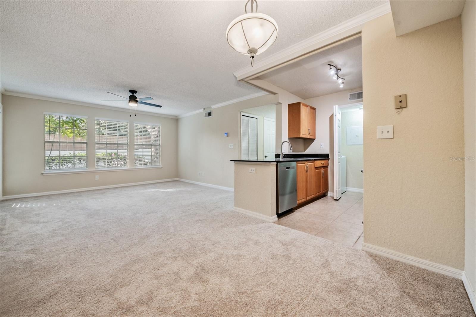 3274 Haviland Ct #101, Palm Harbor, FL 34684 photo