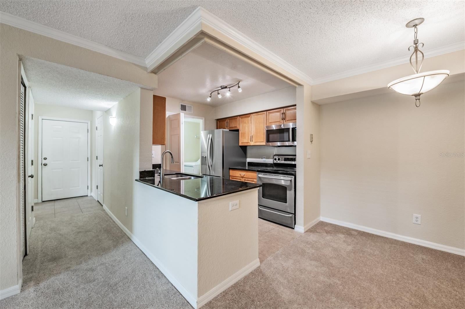 3274 Haviland Ct #101, Palm Harbor, FL 34684 photo