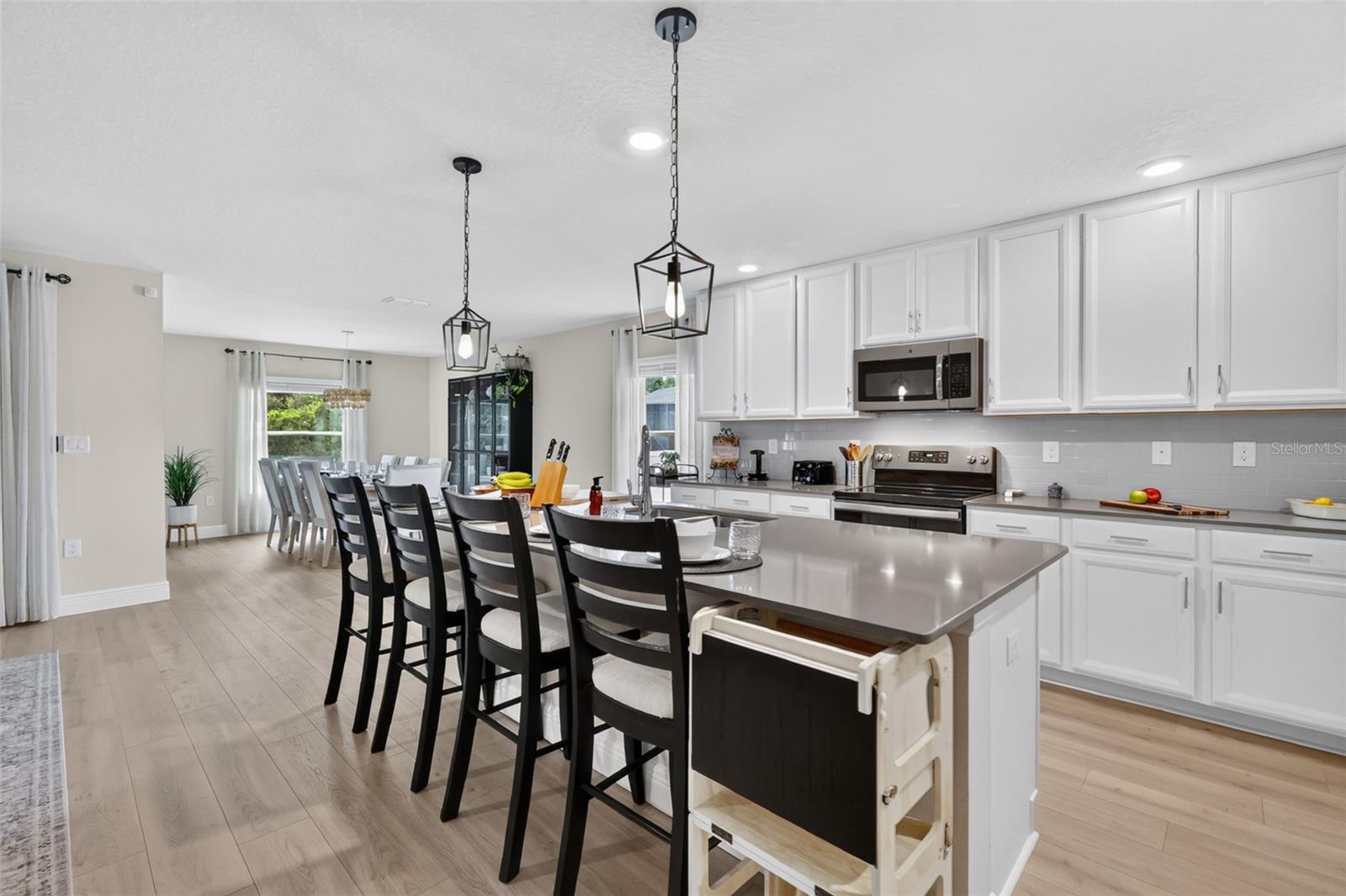 5710 Alenlon Way, Mount Dora, FL 32757 photo