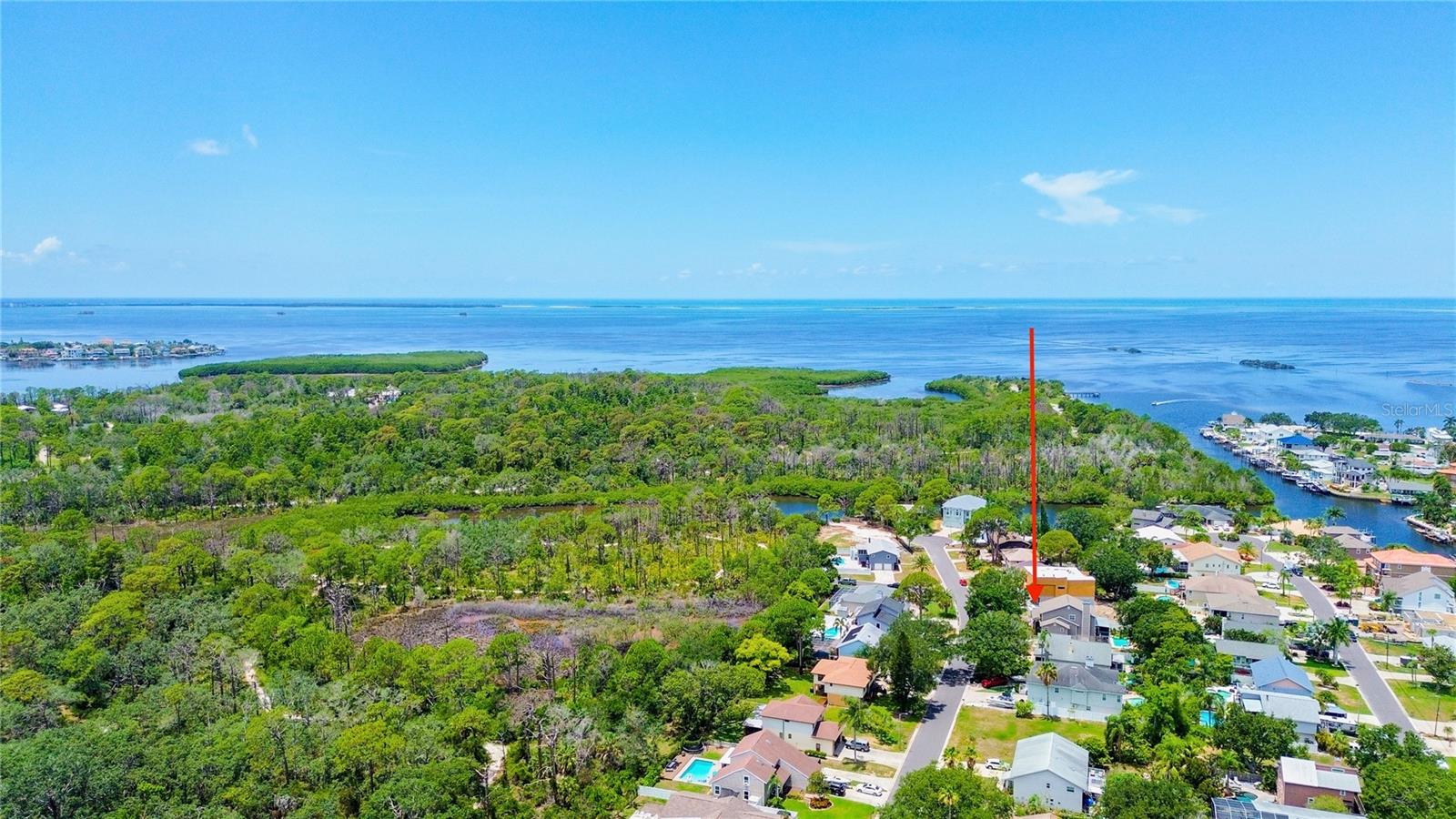 14 Baywood Dr, Palm Harbor, FL 34683