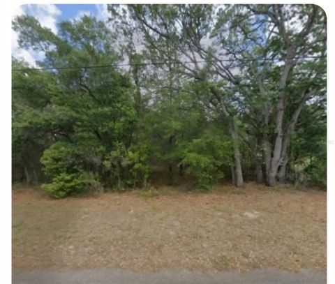  in LECANTO FL 609 N BRIGHTON ROAD.jpg