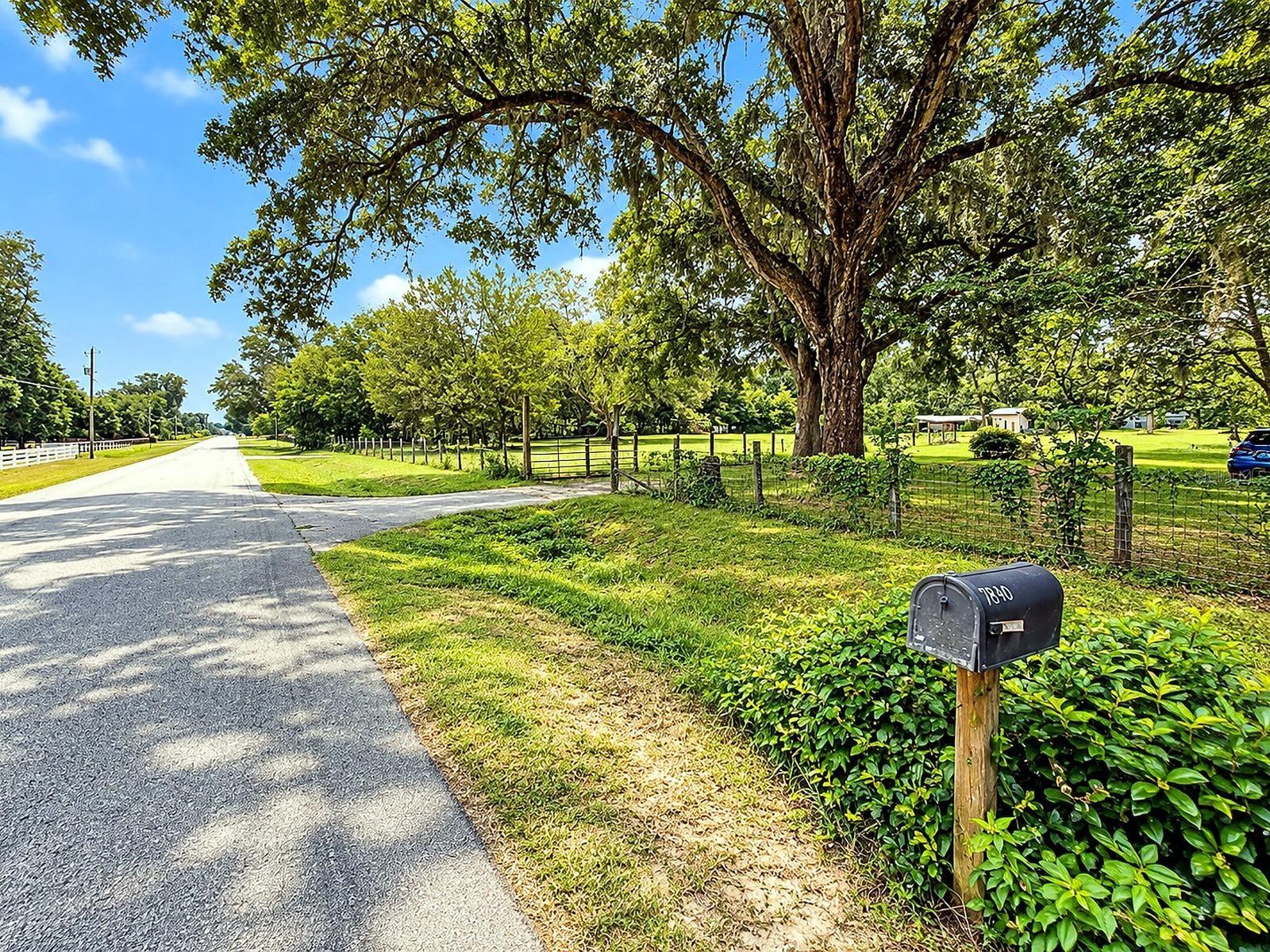 7830 SW 19 Pl, Ocala, FL 34474 photo