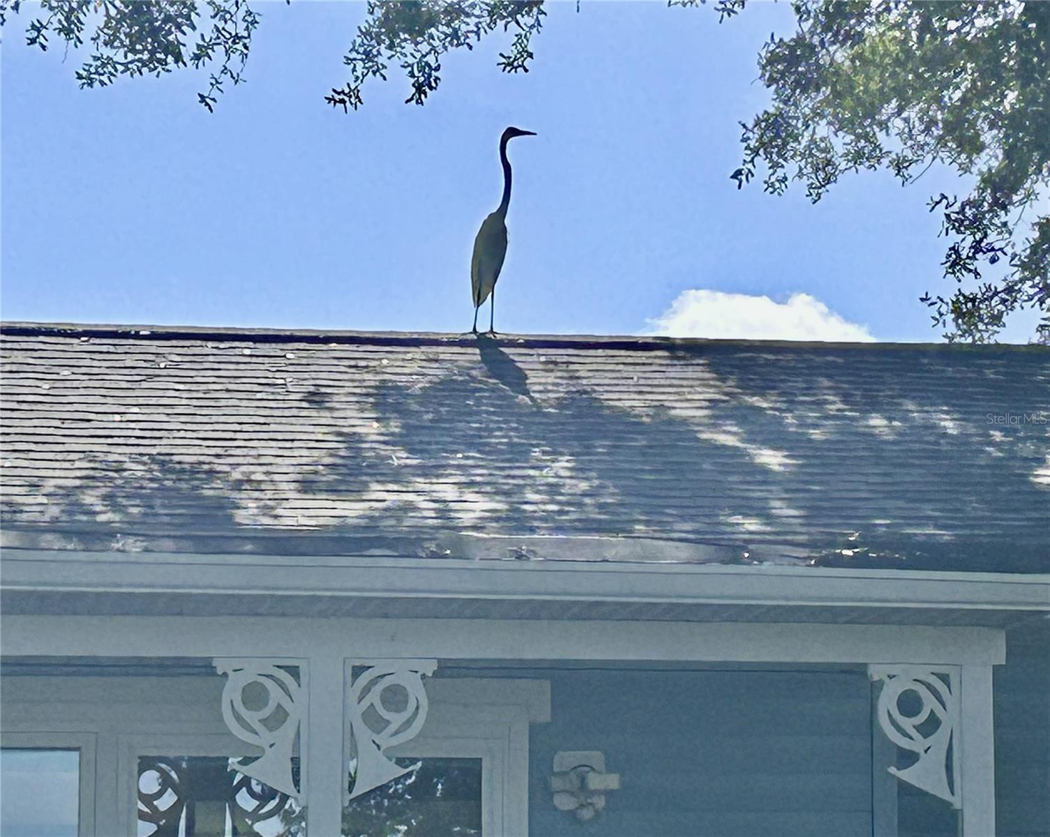 110 Sunset Dr, Saint Petersburg, FL 33707 photo
