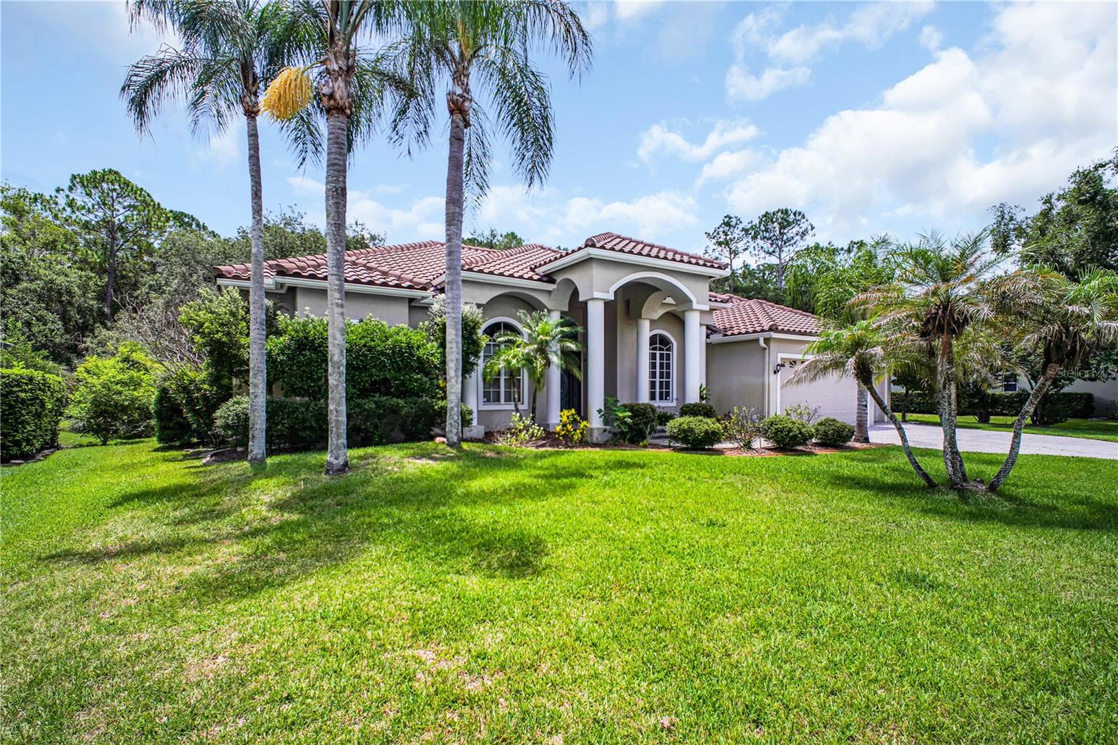 4931 Turtle Creek Trl, Oldsmar, FL 34677 photo