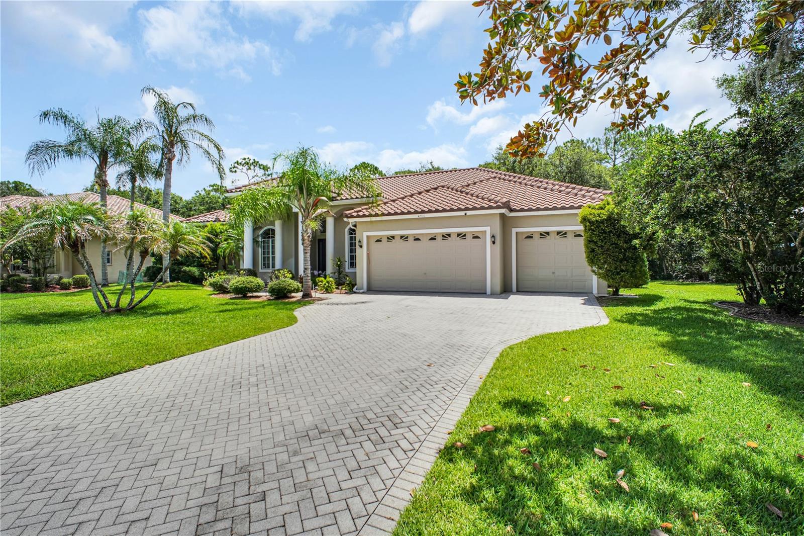 4931 Turtle Creek Trl, Oldsmar, FL 34677 photo