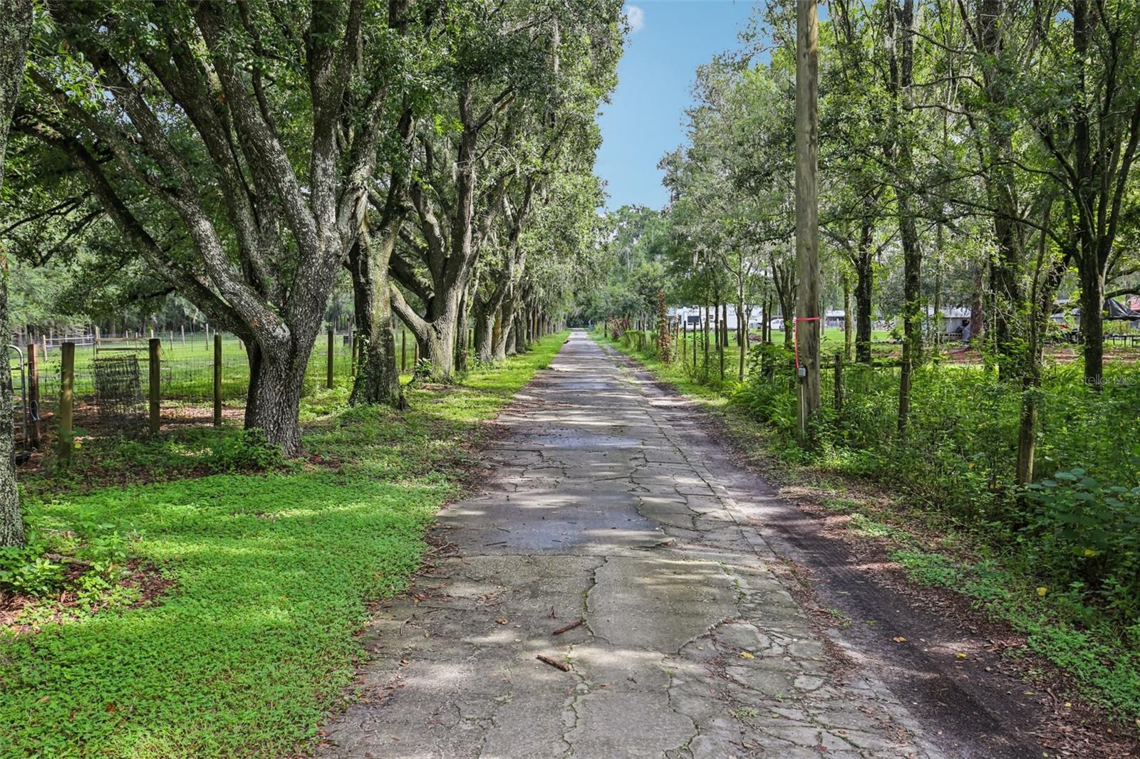 5321 Bruton Rd, Plant City, FL 33565 photo