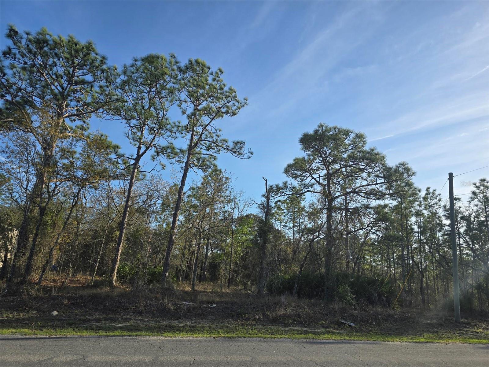 13070 Quigley Ave, Weeki Wachee, FL 34614