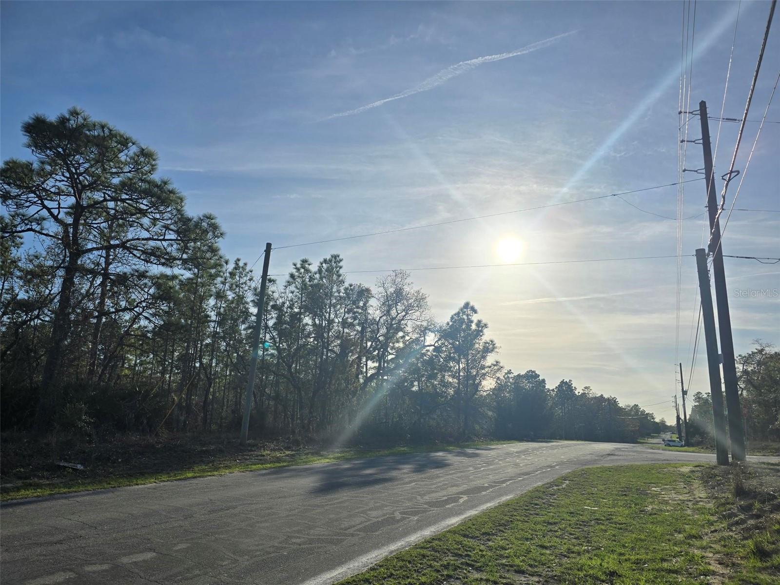 13070 Quigley Ave, Weeki Wachee, FL 34614 photo