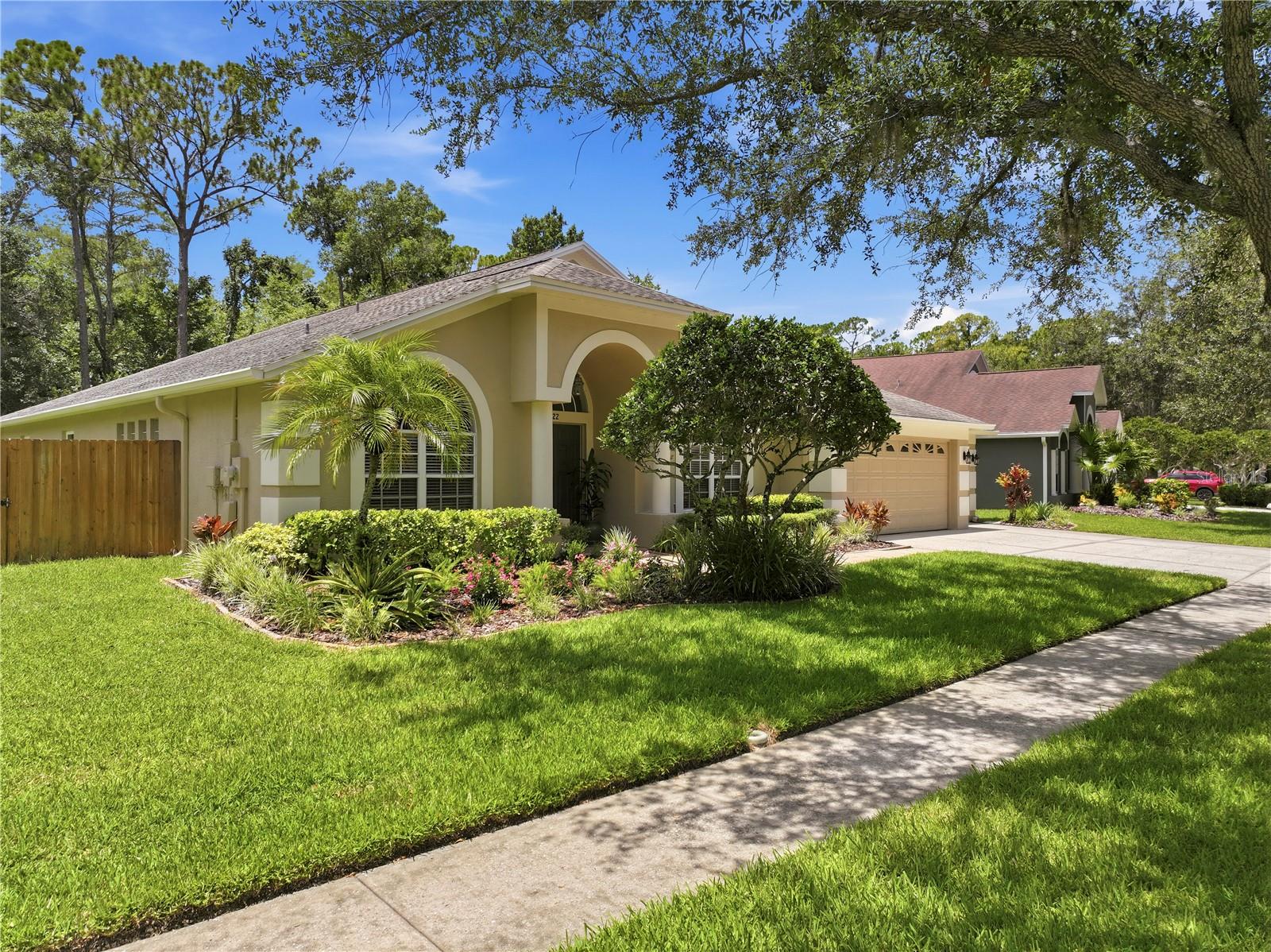 10522 Chambers Dr, Tampa, FL 33626 photo