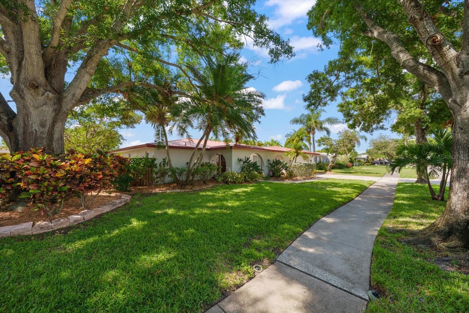 2126 Egret Dr, Clearwater, FL 33764 photo
