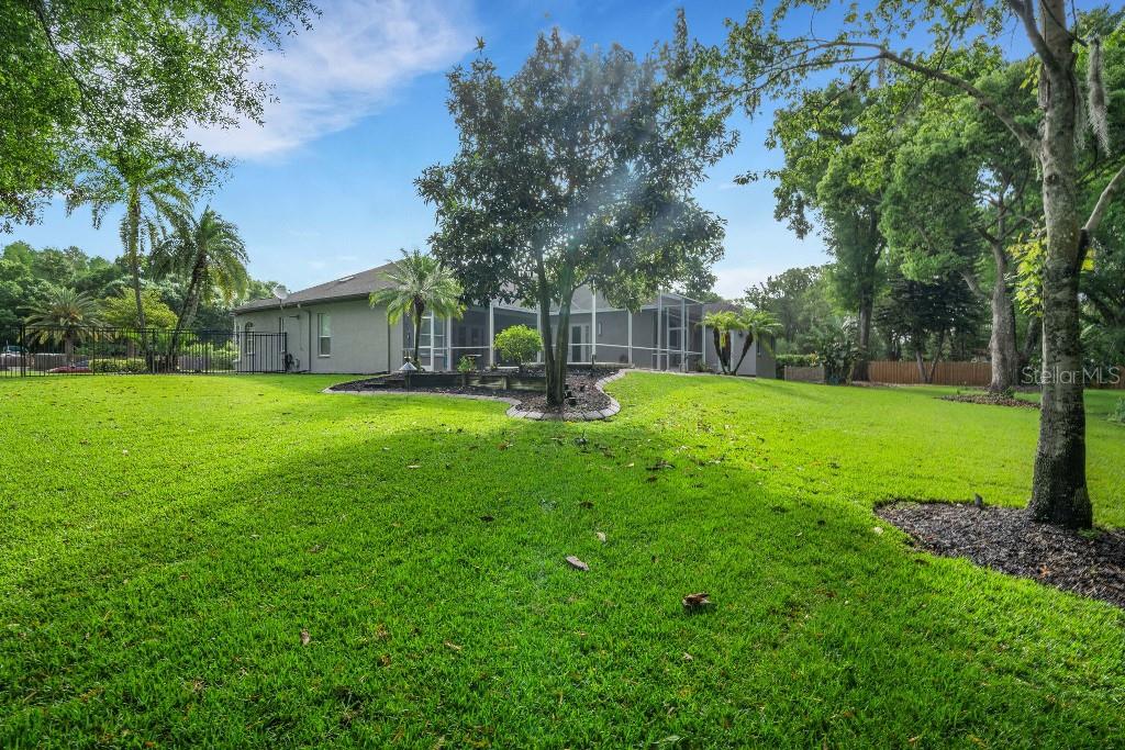 18212 Keystone Grove Blvd, Odessa, FL 33556 photo