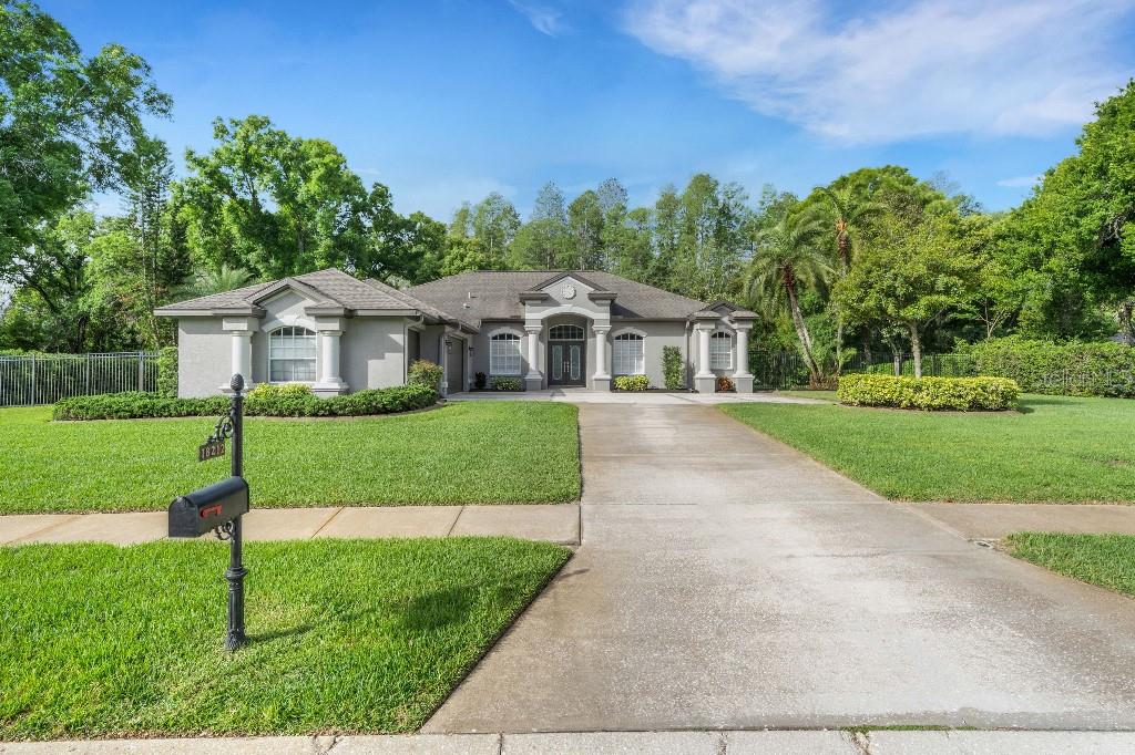 18212 Keystone Grove Blvd, Odessa, FL 33556 photo