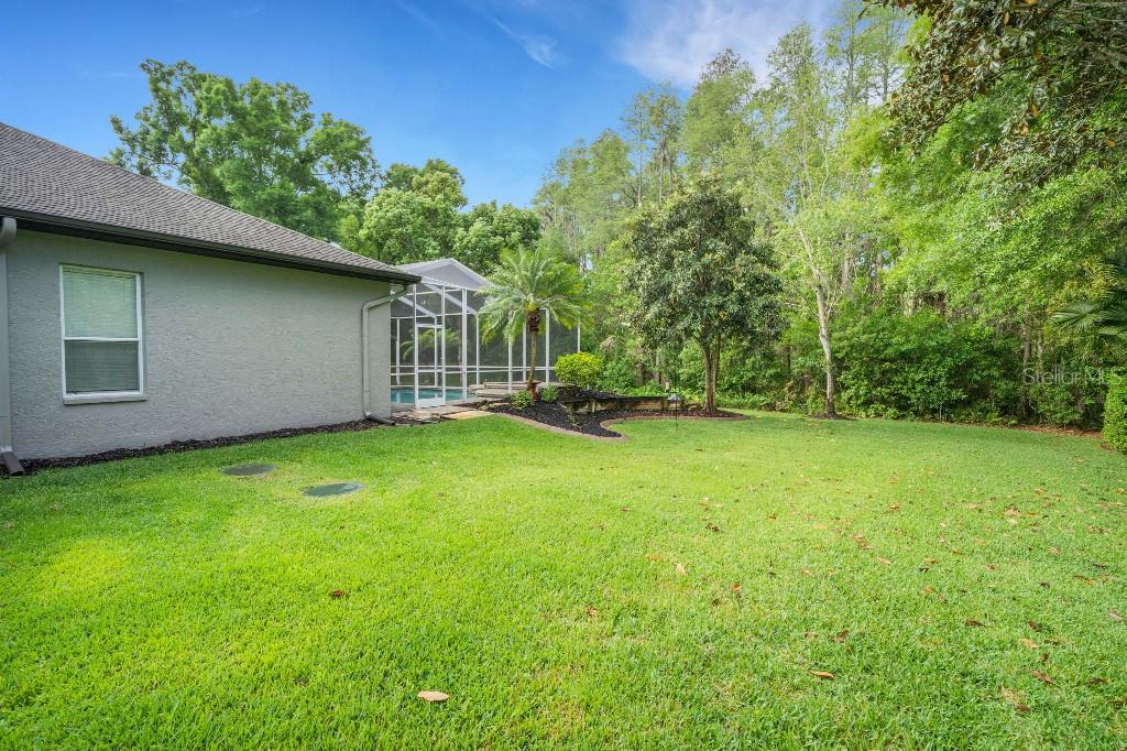 18212 Keystone Grove Blvd, Odessa, FL 33556 photo