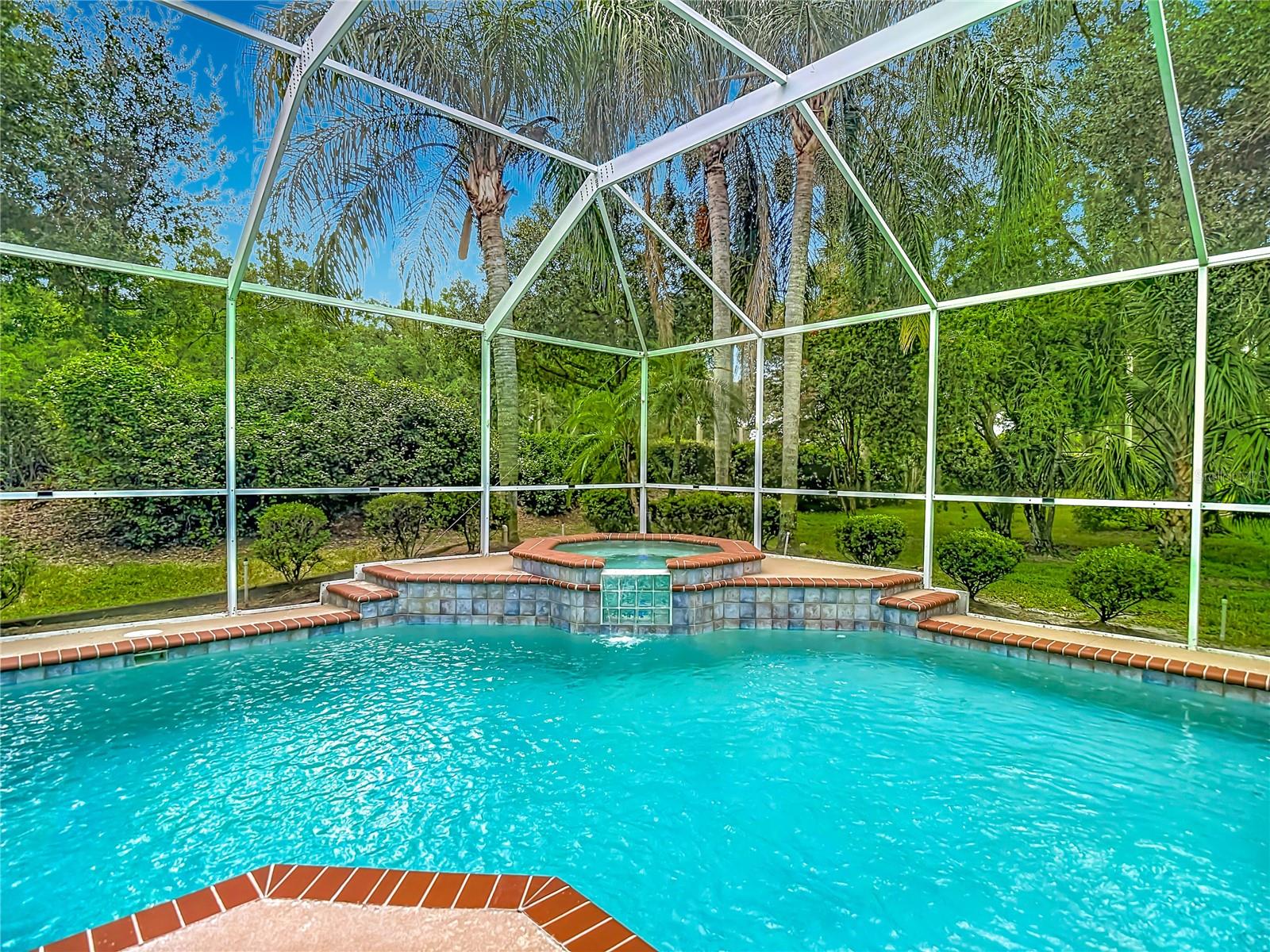 10221 Garden Alcove Dr, Tampa, FL 33647 photo