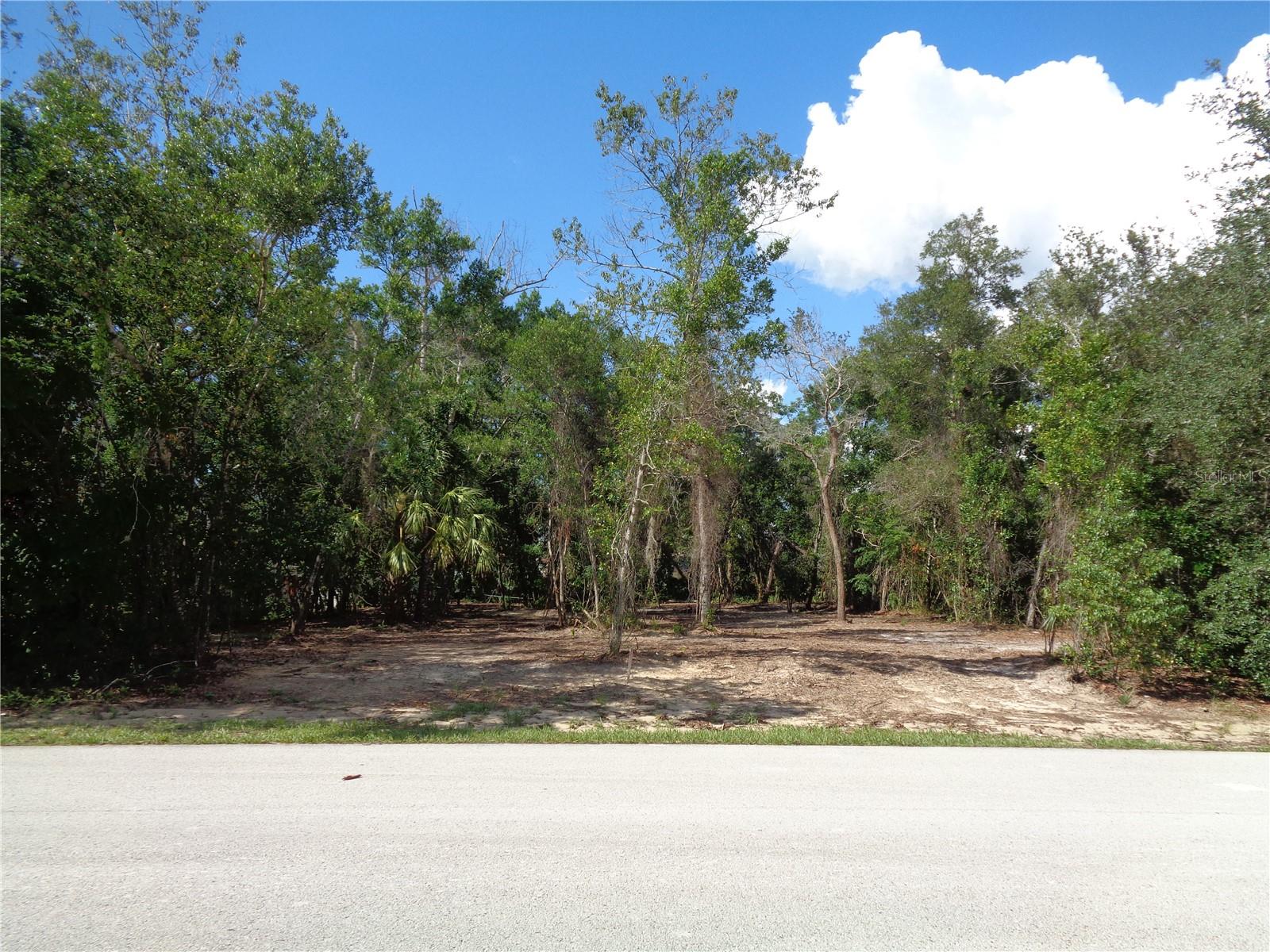 8007 Chaucer Dr, Weeki Wachee, FL 34607