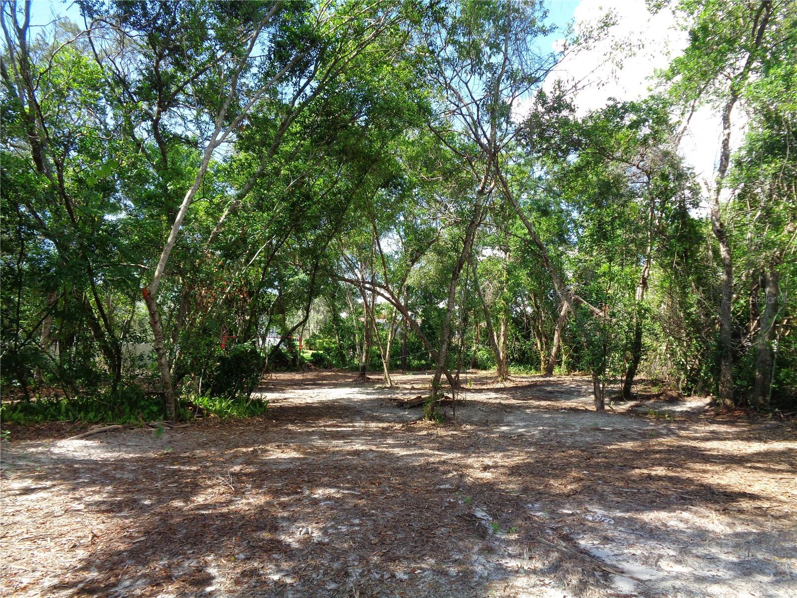 8007 Chaucer Dr, Weeki Wachee, FL 34607 photo